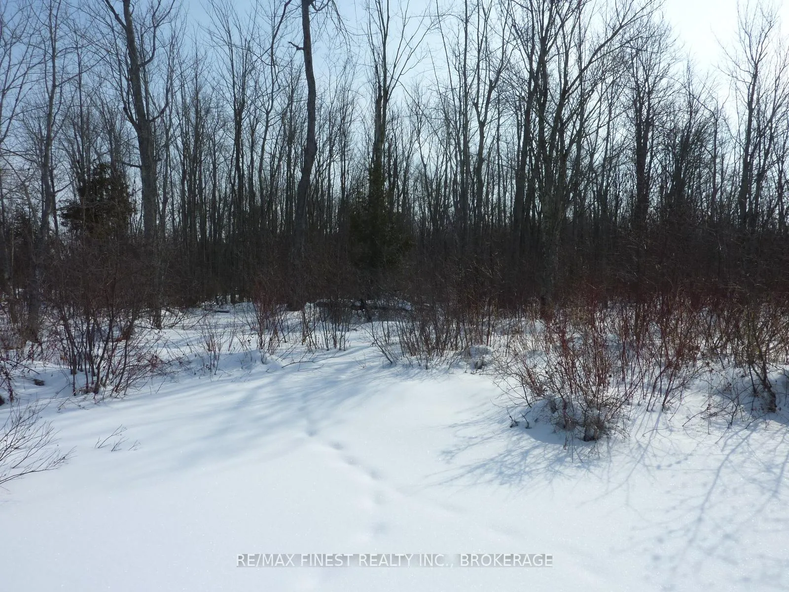 Photo 10 of 5021 Battersea Road, Frontenac, Frontenac South — HOMEH