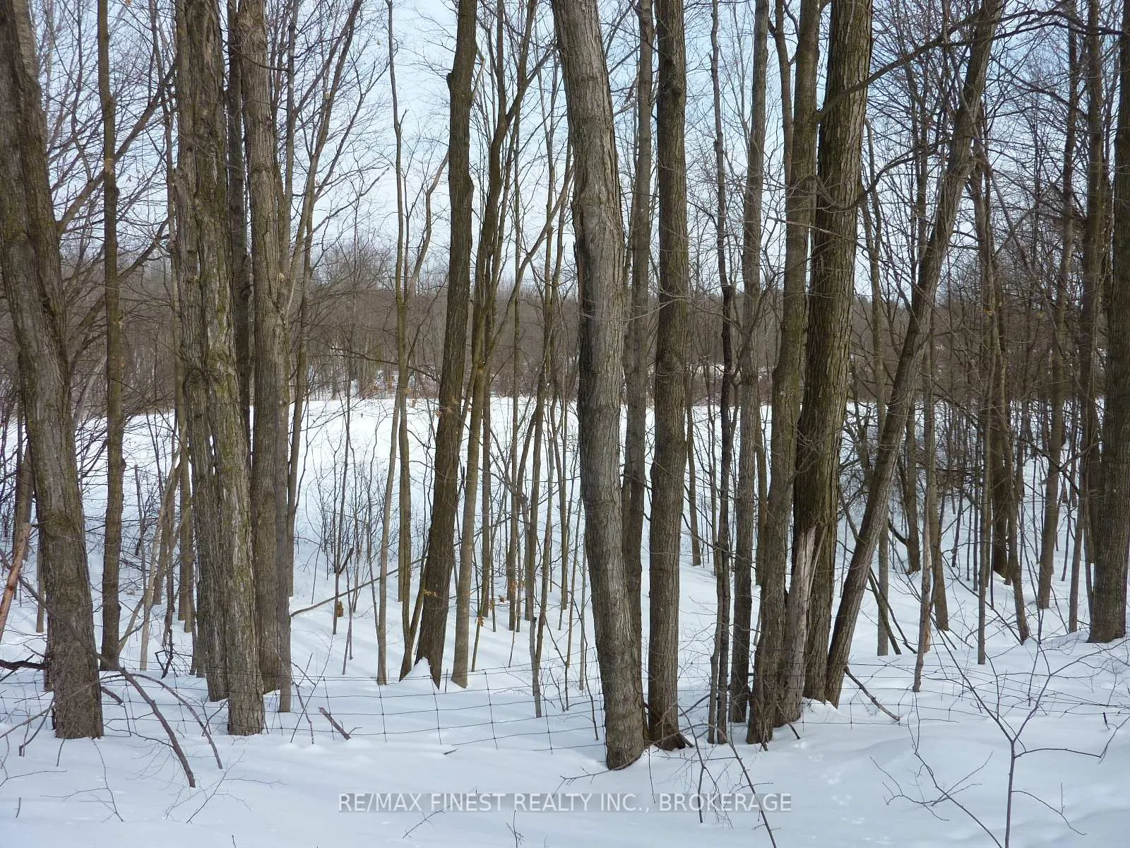 Photo 27 of 5021 Battersea Road, Frontenac, Frontenac South — HOMEH