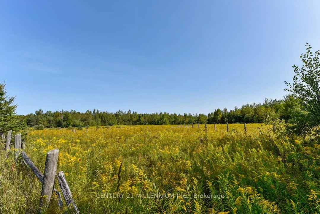 Photo 9 of 387091 20th Side Road, Mono, Rural Mono — HOMEH