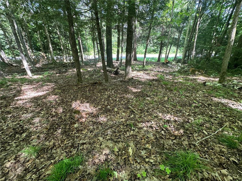 Photo 2 of Calabogie Road, McNab/Braeside, Mcnab/Braeside Twps — HOMEH