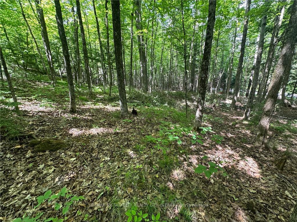 Photo 3 of Calabogie Road, McNab/Braeside, Mcnab/Braeside Twps — HOMEH