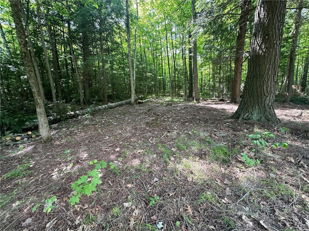 Photo 4 of Calabogie Road, McNab/Braeside, Mcnab/Braeside Twps — HOMEH
