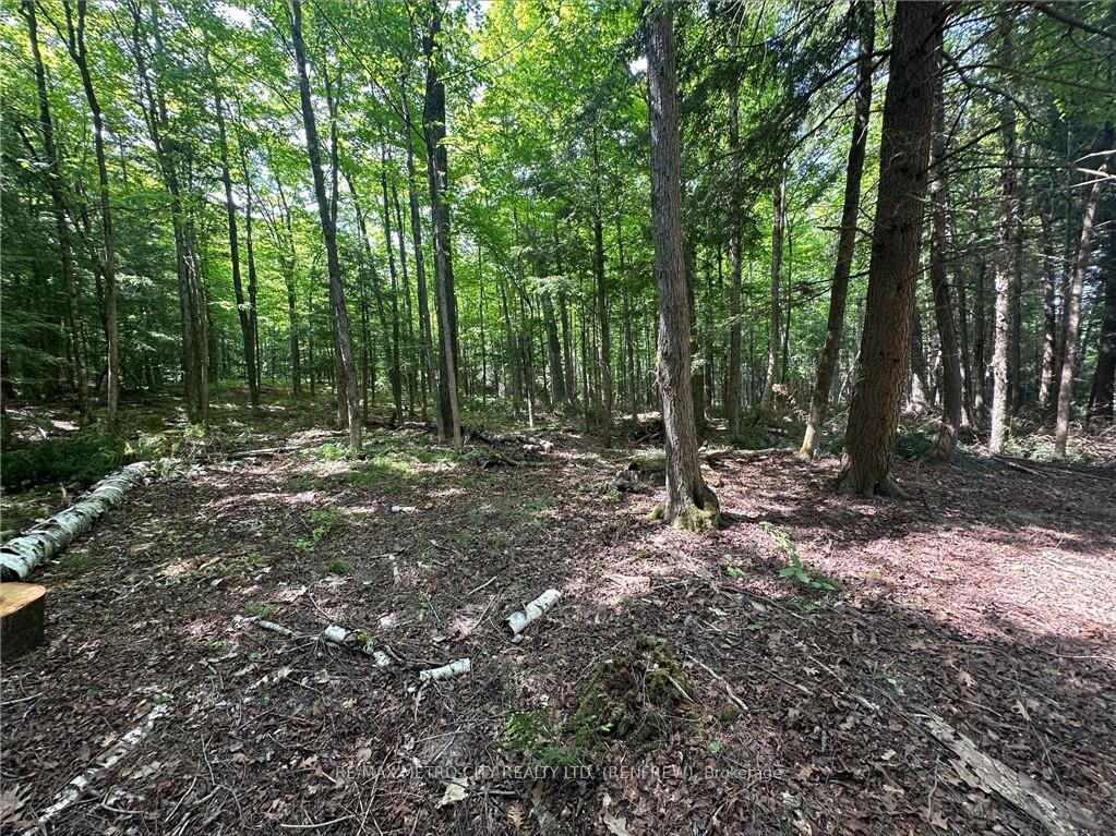 Photo 5 of Calabogie Road, McNab/Braeside, Mcnab/Braeside Twps — HOMEH