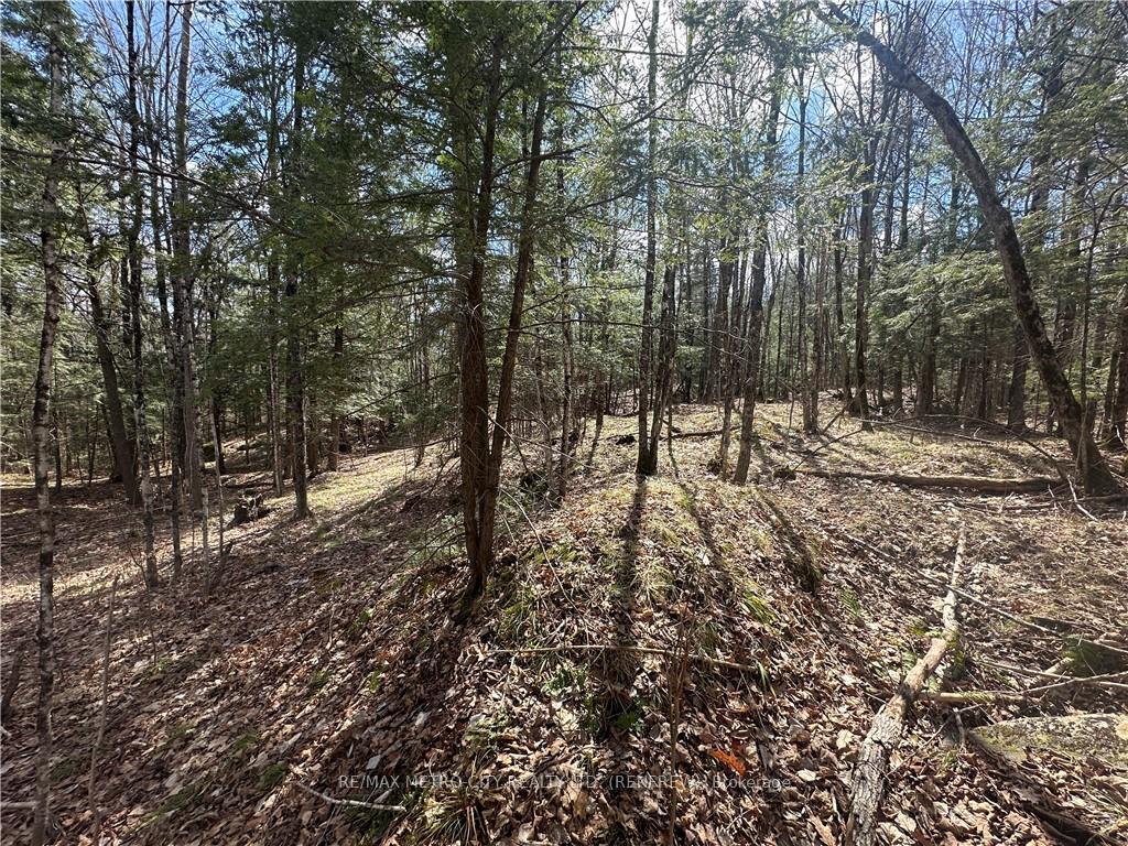 Photo 8 of Calabogie Road, McNab/Braeside, Mcnab/Braeside Twps — HOMEH