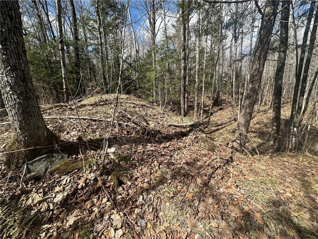 Photo 9 of Calabogie Road, McNab/Braeside, Mcnab/Braeside Twps — HOMEH