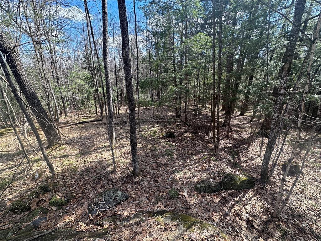 Photo 10 of Calabogie Road, McNab/Braeside, Mcnab/Braeside Twps — HOMEH
