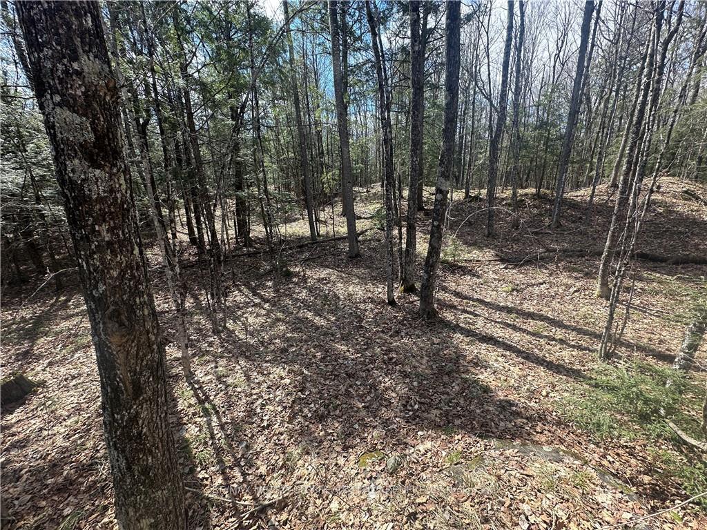 Photo 11 of Calabogie Road, McNab/Braeside, Mcnab/Braeside Twps — HOMEH