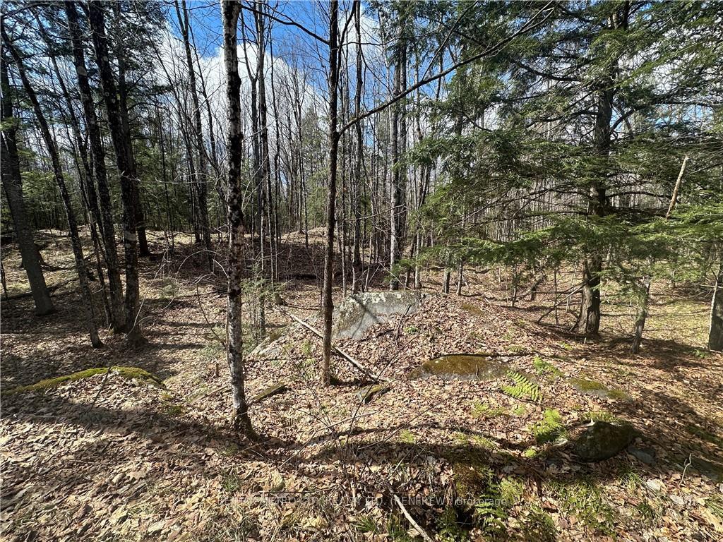 Photo 12 of Calabogie Road, McNab/Braeside, Mcnab/Braeside Twps — HOMEH