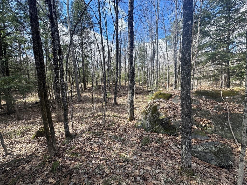 Photo 13 of Calabogie Road, McNab/Braeside, Mcnab/Braeside Twps — HOMEH