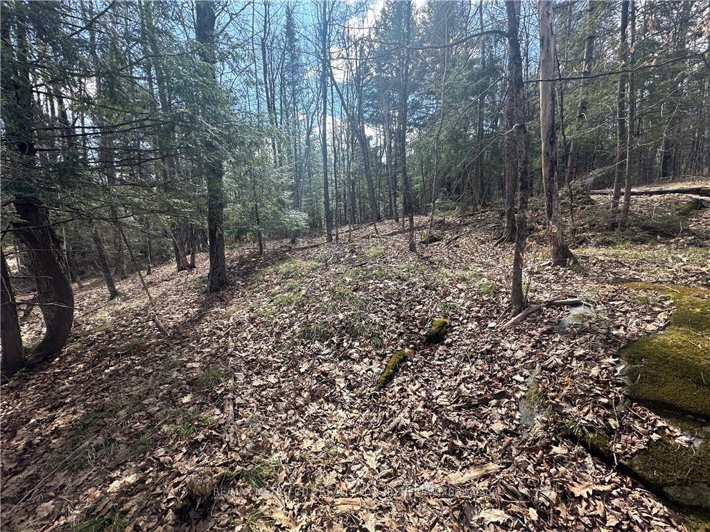 Photo 15 of Calabogie Road, McNab/Braeside, Mcnab/Braeside Twps — HOMEH