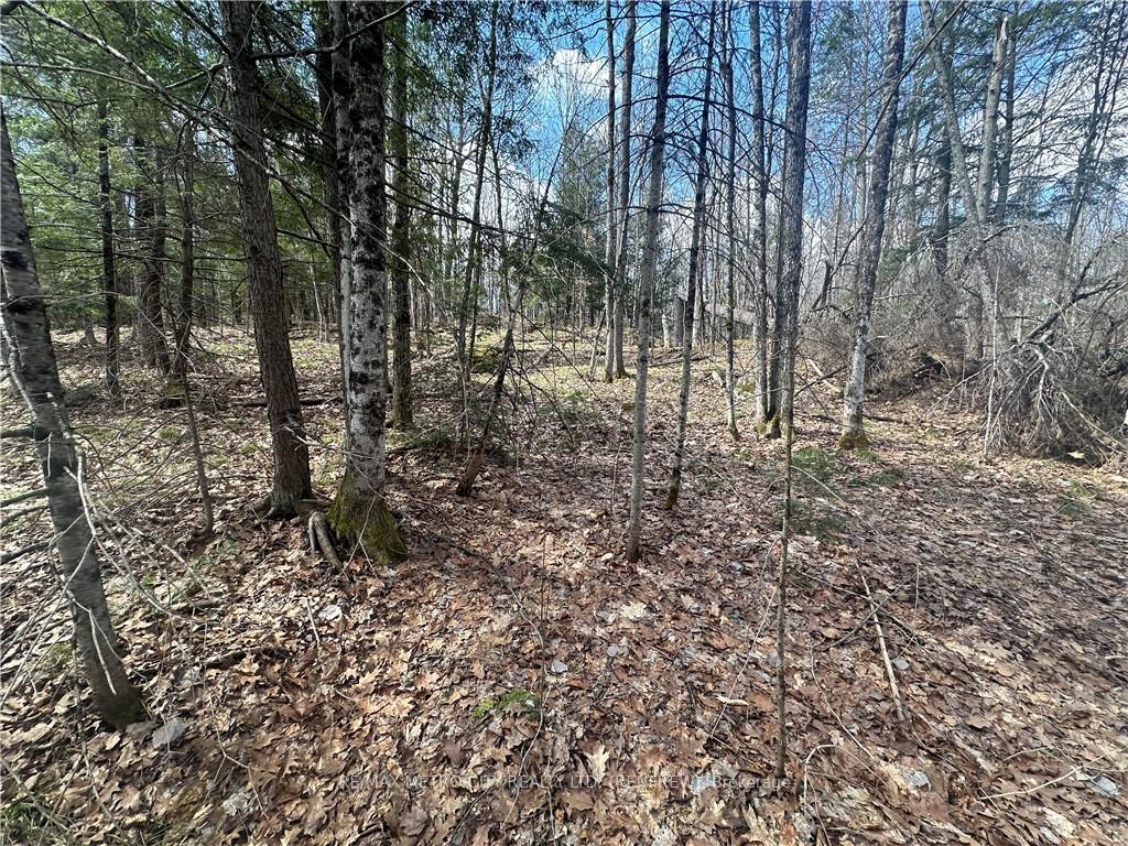 Photo 16 of Calabogie Road, McNab/Braeside, Mcnab/Braeside Twps — HOMEH