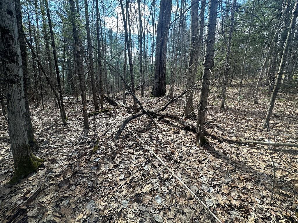 Photo 17 of Calabogie Road, McNab/Braeside, Mcnab/Braeside Twps — HOMEH