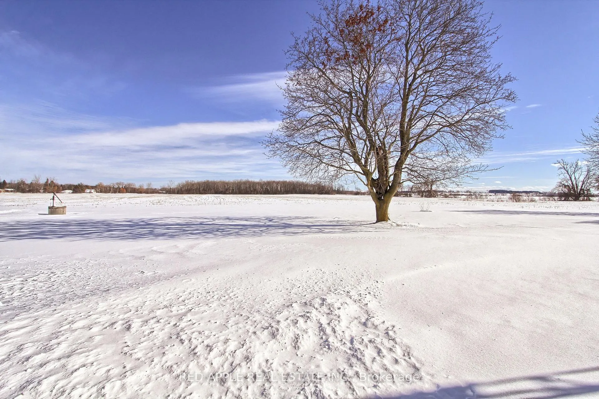 Photo 21 of 24187 Warden Avenue, Georgina, Belhaven — HOMEH