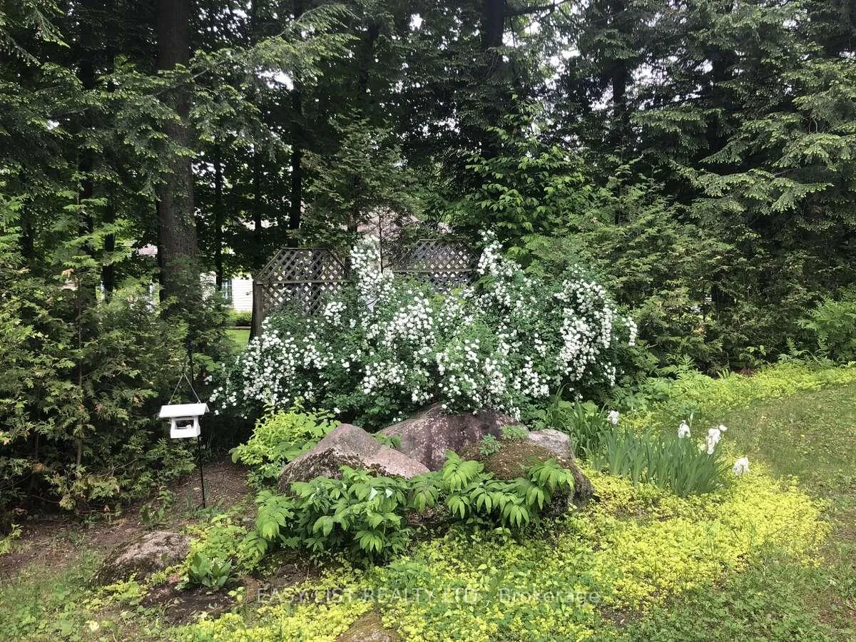 Photo 9 of 704 Pattee Road, Champlain, Champlain Twp — HOMEH