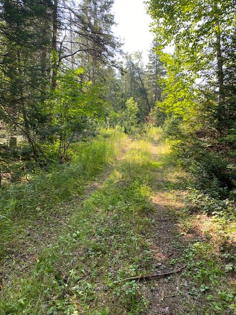 Photo 2 of Highway 620, Limerick — HOMEH