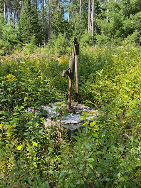 Photo 3 of Highway 620, Limerick — HOMEH