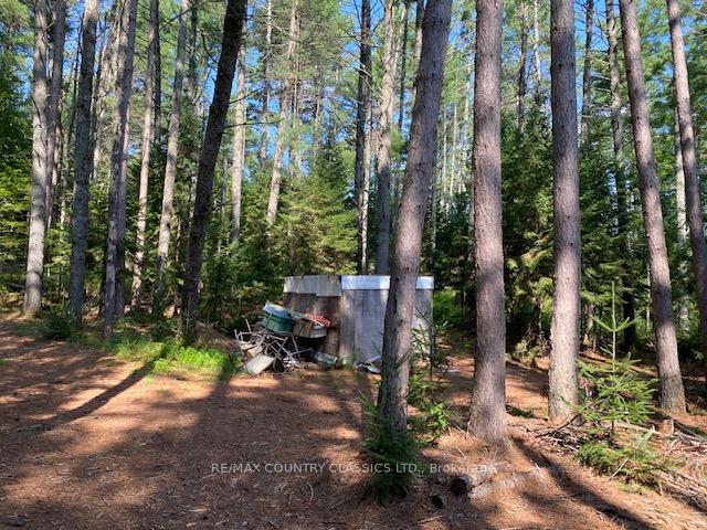 Photo 8 of Highway 620, Limerick — HOMEH
