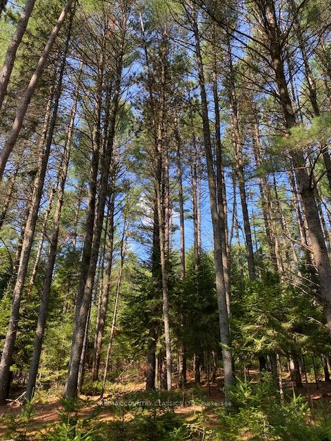 Photo 11 of Highway 620, Limerick — HOMEH