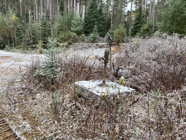 Photo 24 of Highway 620, Limerick — HOMEH