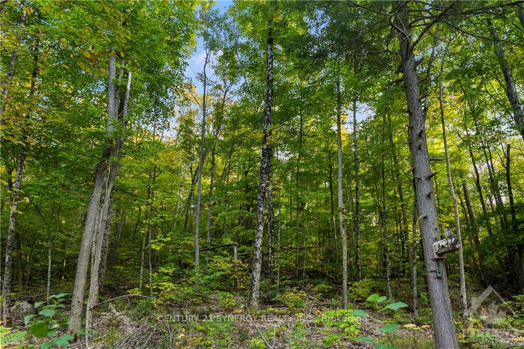 Photo 10 of 101 Radley Lane, Lanark Highlands, Lanark Highlands (Darling) Twp — HOMEH