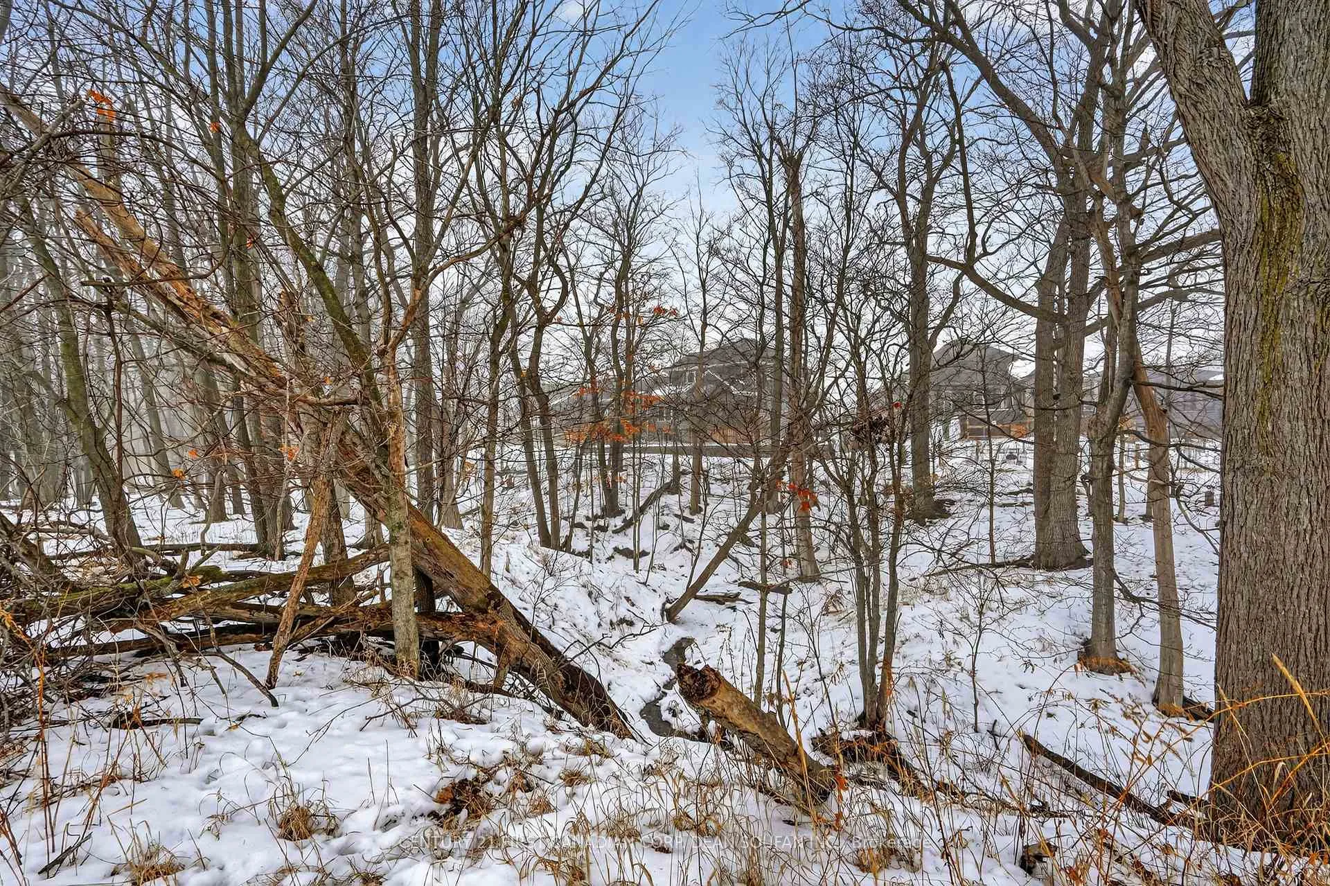 Photo 52 of 44 Muirfield Drive, St. Thomas — HOMEH