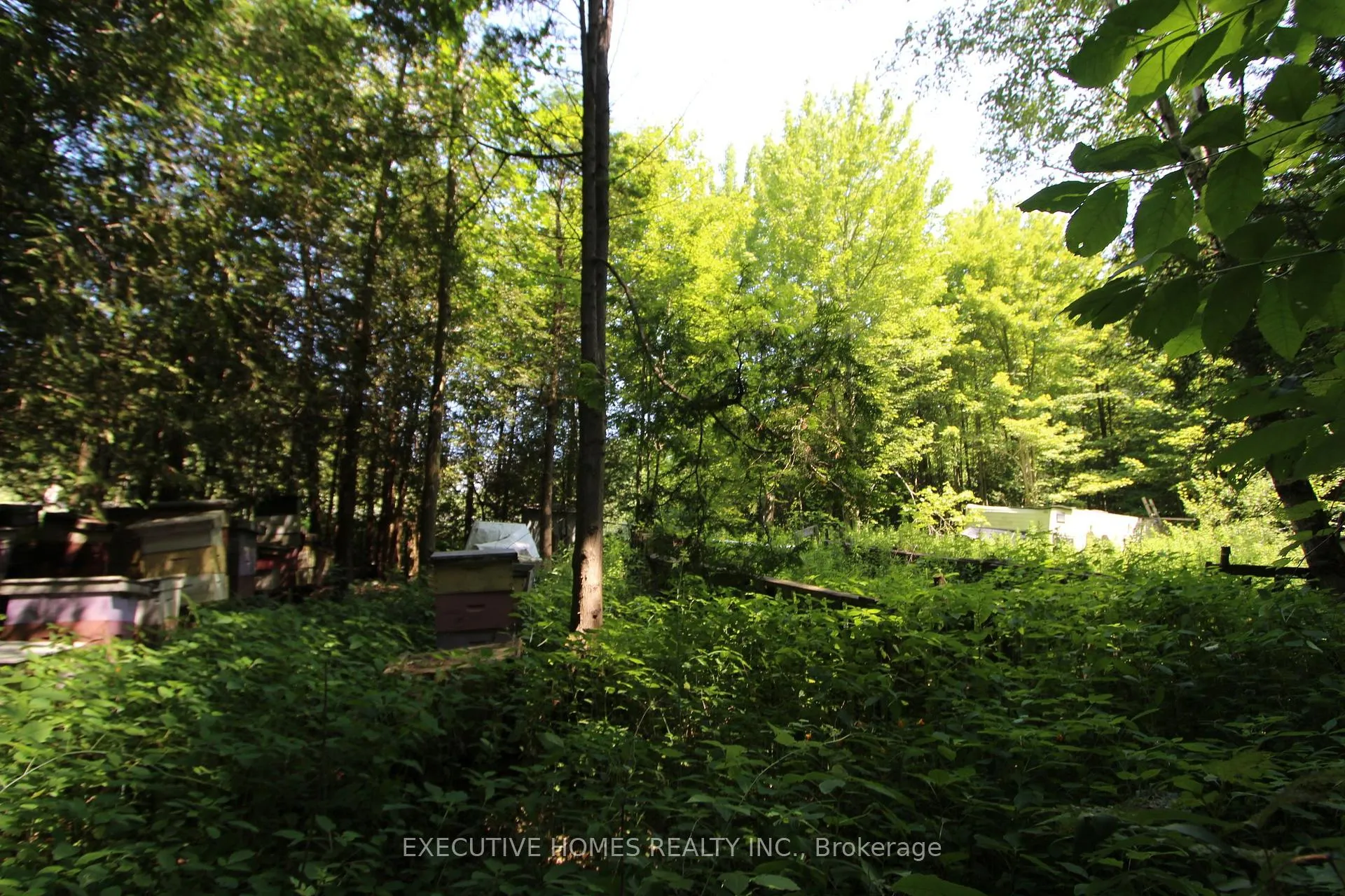 Photo 4 of 00000 Webster Road, Port Hope — HOMEH