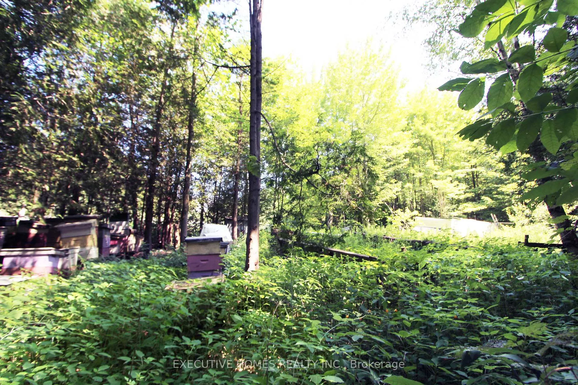 Photo 6 of 00000 Webster Road, Port Hope — HOMEH