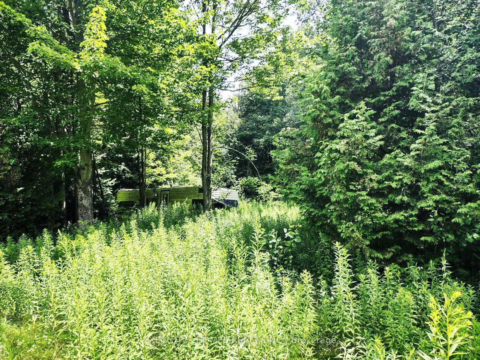 Photo 11 of 00000 Webster Road, Port Hope — HOMEH