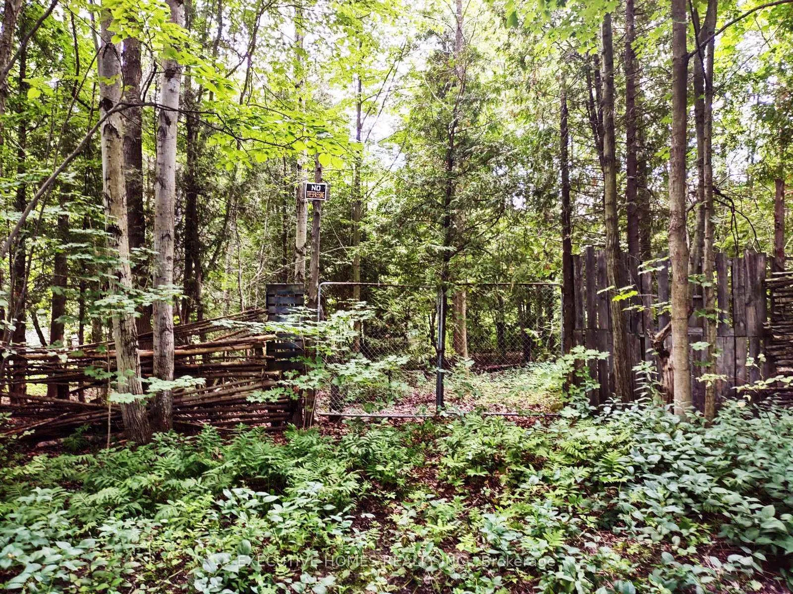 Photo 12 of 00000 Webster Road, Port Hope — HOMEH