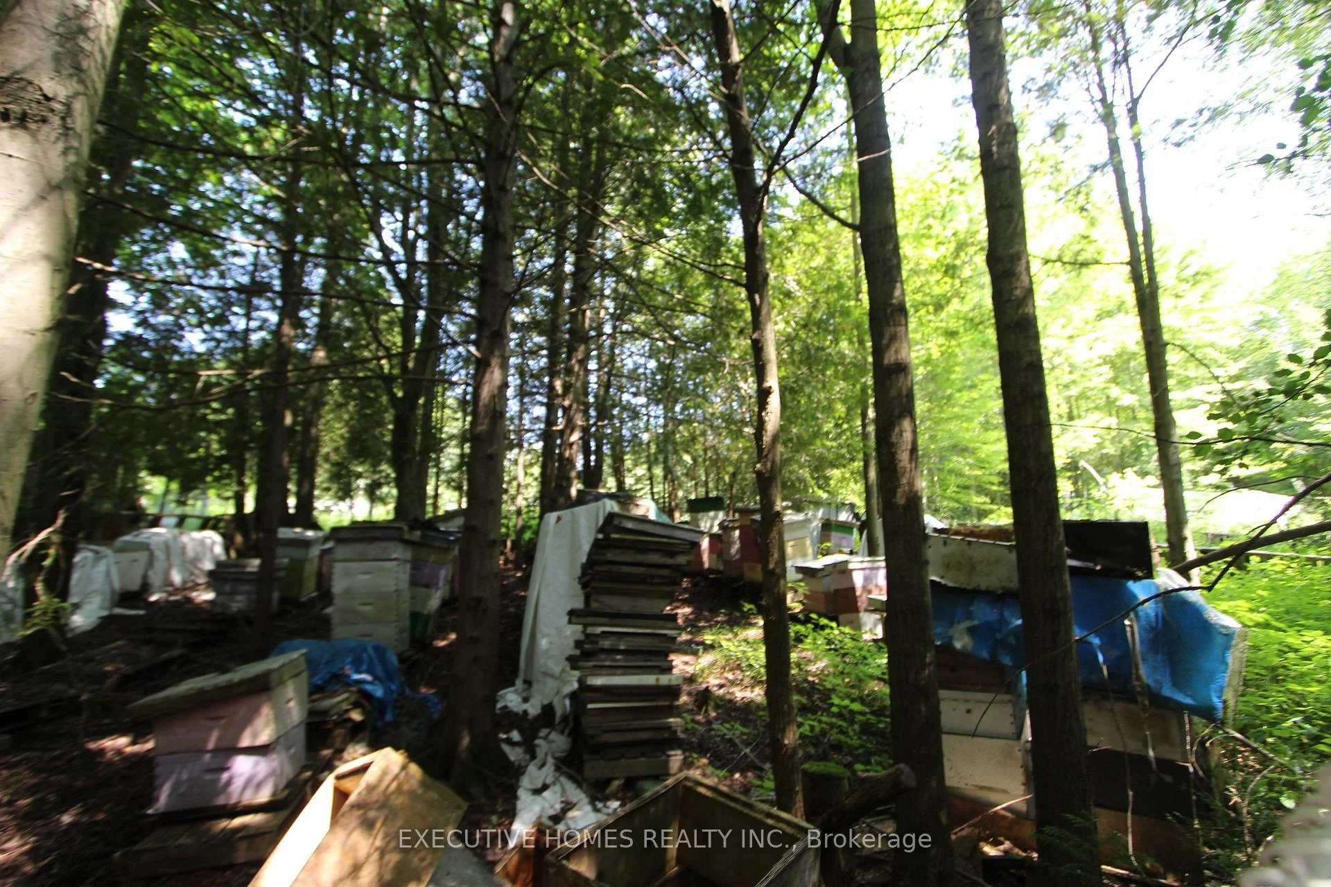 Photo 20 of 00000 Webster Road, Port Hope — HOMEH