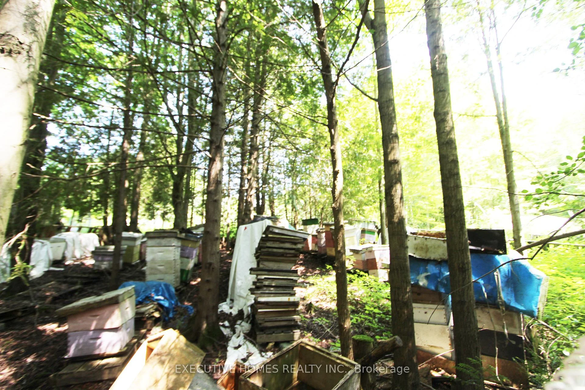 Photo 24 of 00000 Webster Road, Port Hope — HOMEH