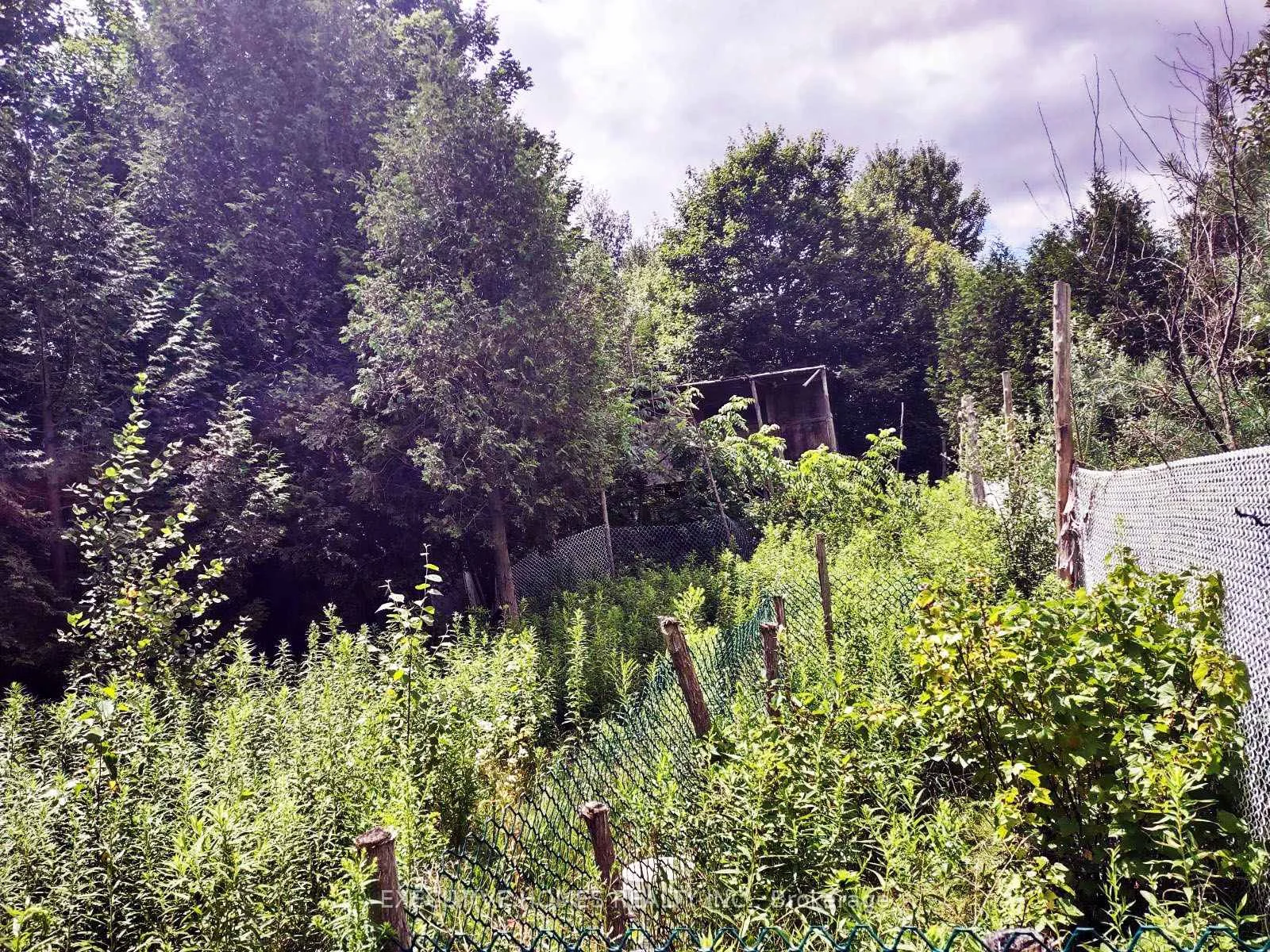 Photo 25 of 00000 Webster Road, Port Hope — HOMEH