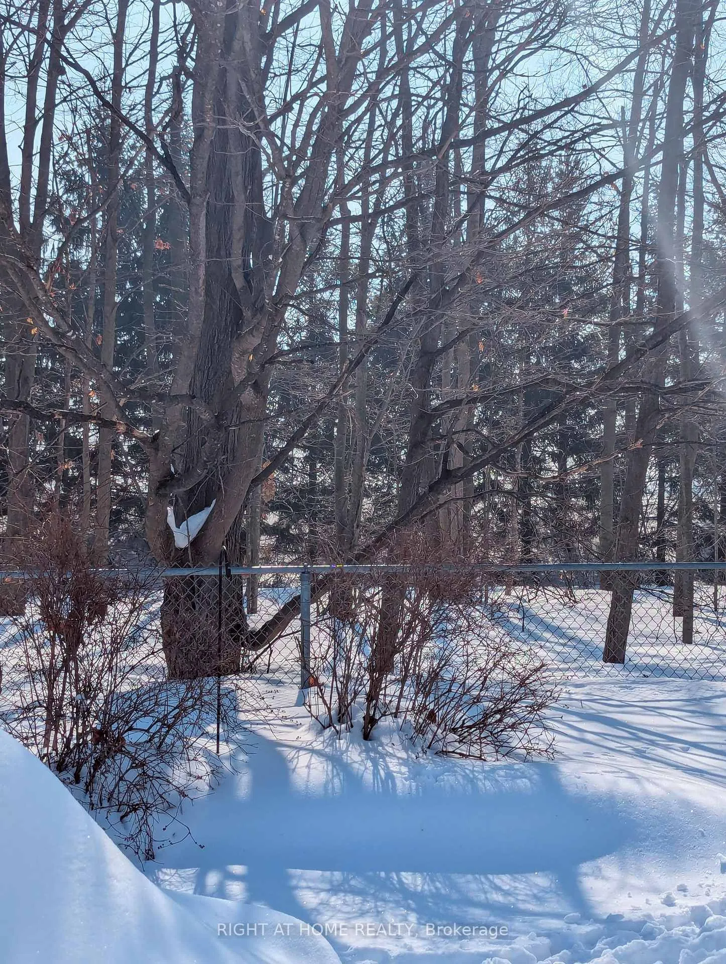Photo 18 of 63 Benson Drive, Barrie, Sandy Hollow — HOMEH