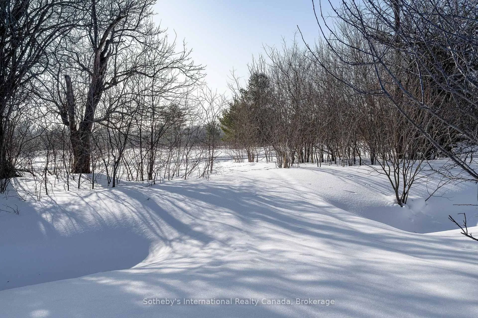 Photo 37 of 8 Hall Street, Springwater, Phelpston — HOMEH