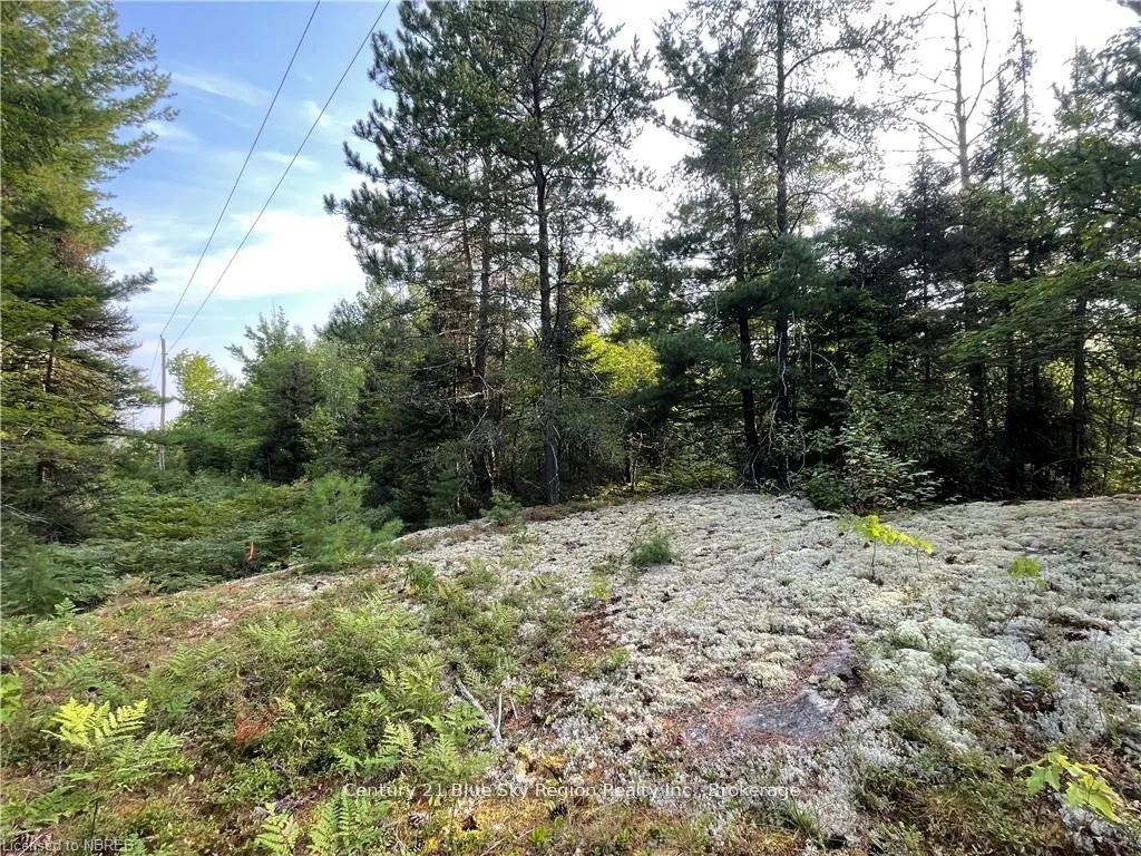 Photo 20 of PART Lot 2 Leduc Road, West Nipissing, Field — HOMEH