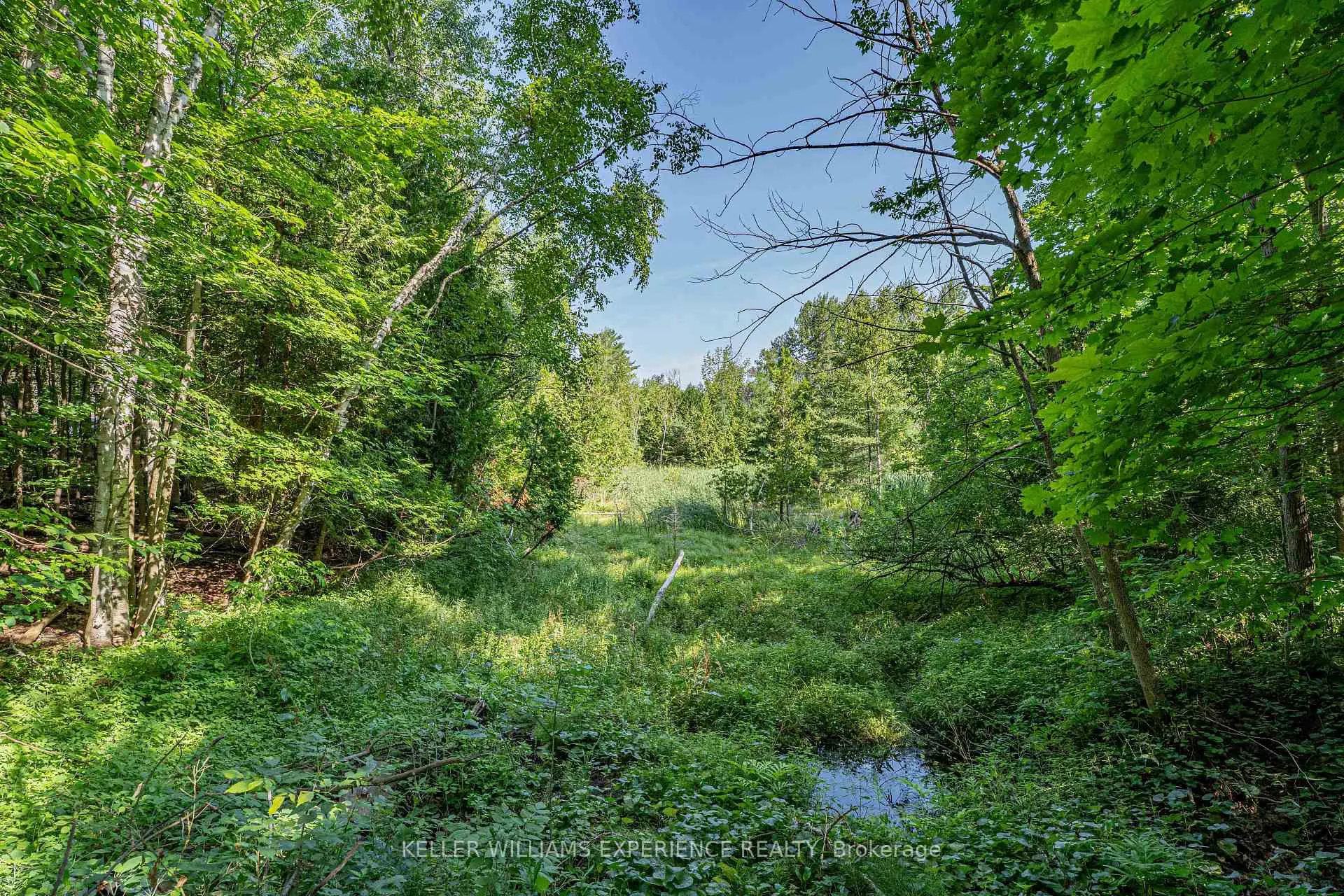 Photo 10 of 8294 County 27 Road, Essa, Rural Essa — HOMEH