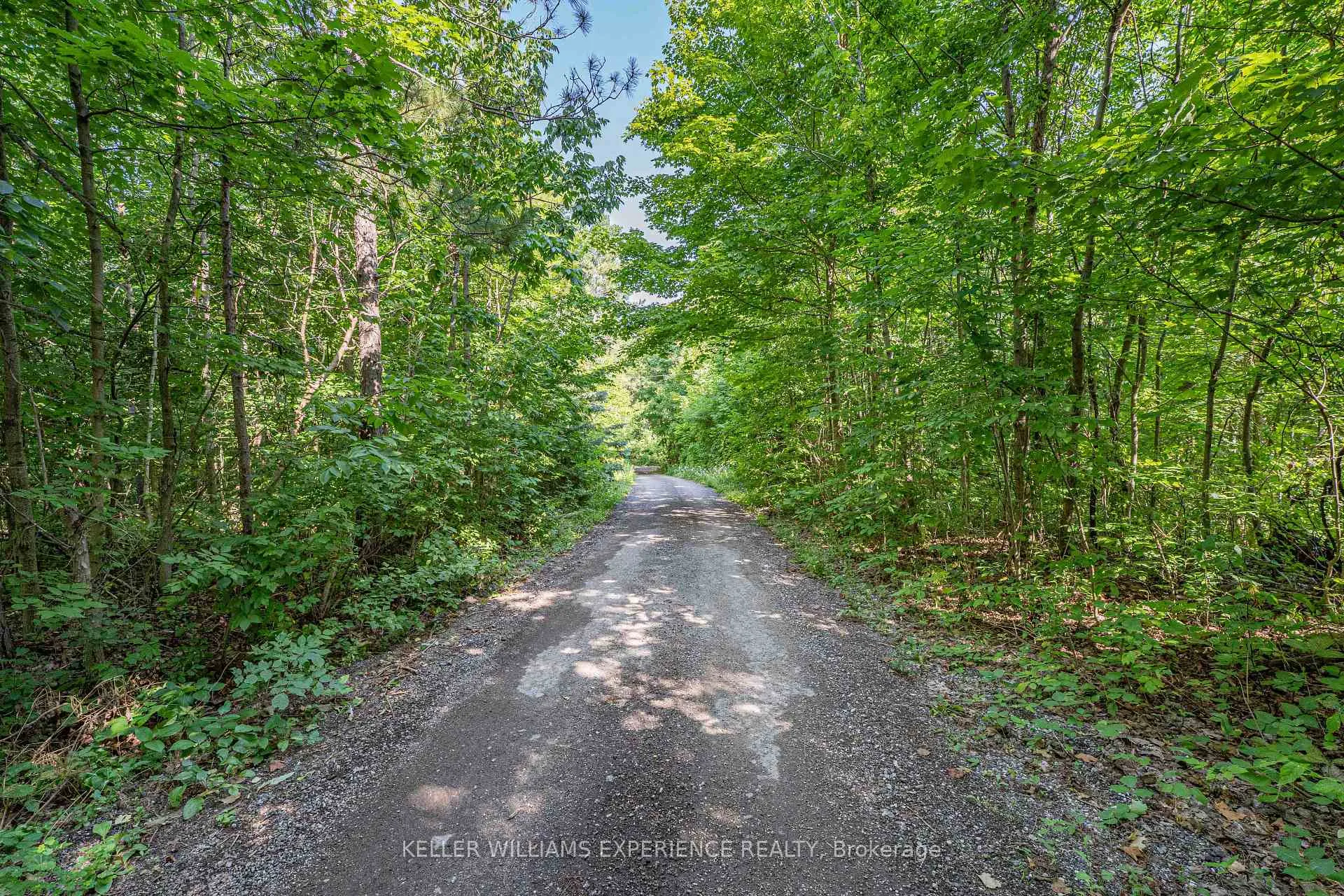 Photo 14 of 8294 County 27 Road, Essa, Rural Essa — HOMEH