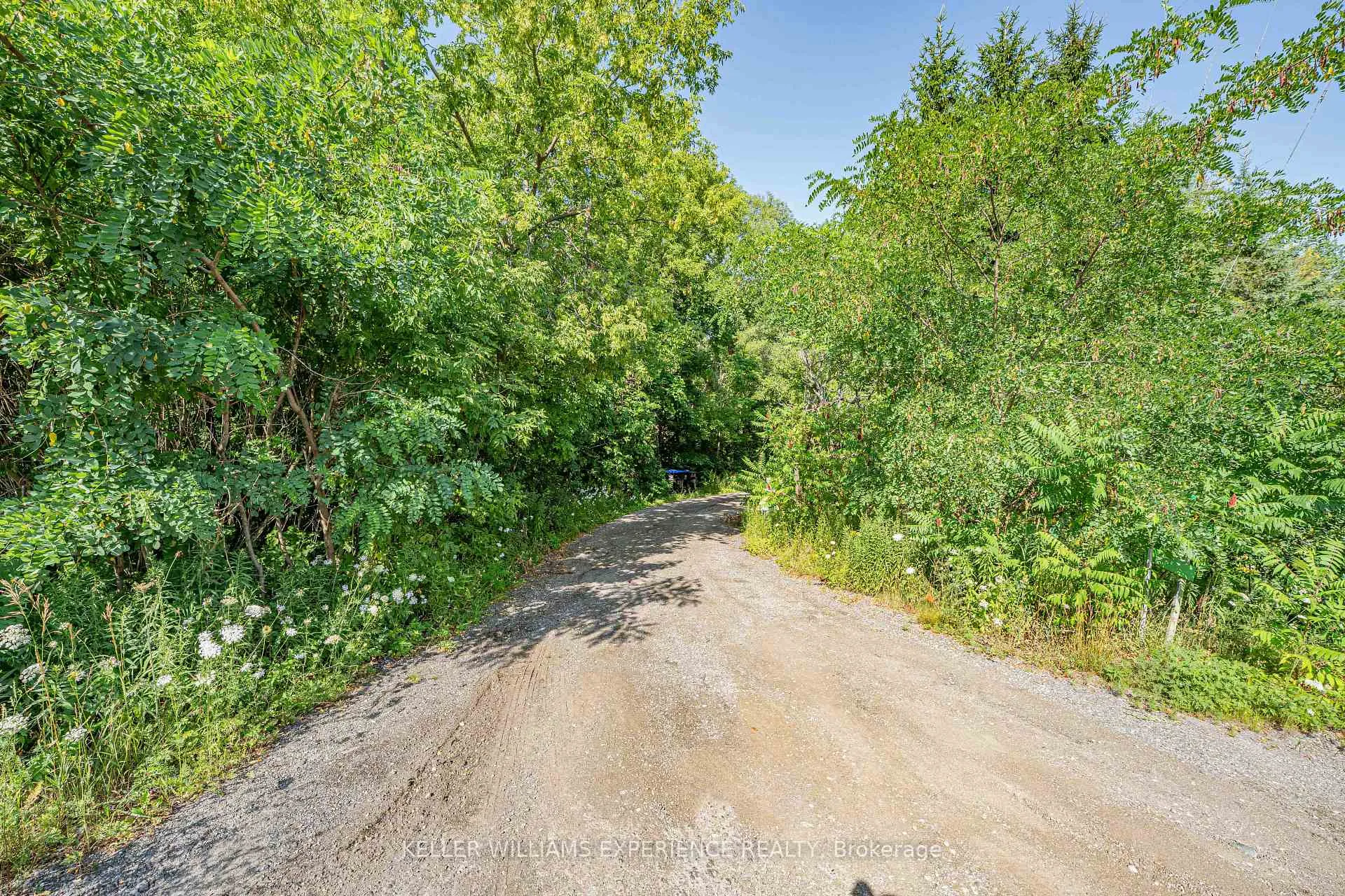 Photo 16 of 8294 County 27 Road, Essa, Rural Essa — HOMEH