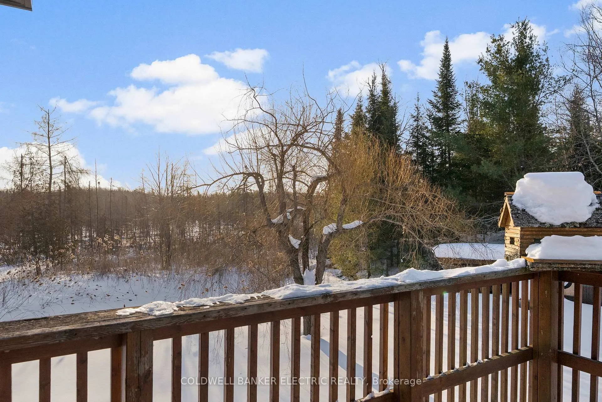 Photo 29 of 459 Jack Lake Road, North Kawartha — HOMEH