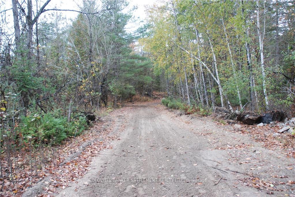 Photo 1 of North Street, Lanark Highlands, Lanark Highlands (Lanark Village) — HOMEH