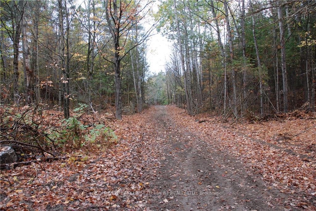Photo 2 of North Street, Lanark Highlands, Lanark Highlands (Lanark Village) — HOMEH