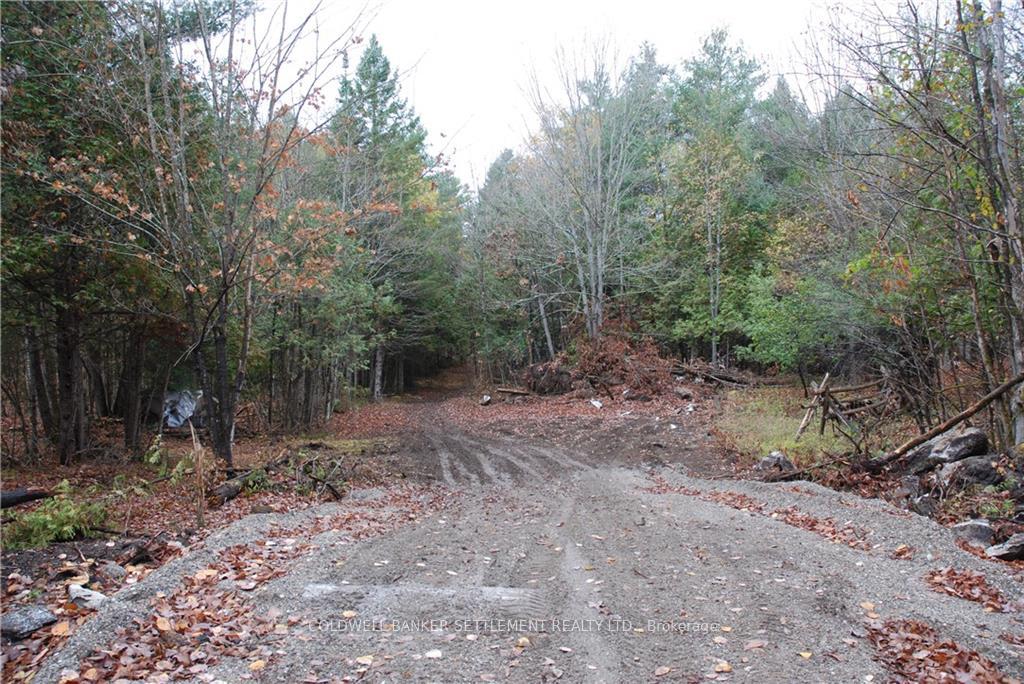 Photo 3 of North Street, Lanark Highlands, Lanark Highlands (Lanark Village) — HOMEH