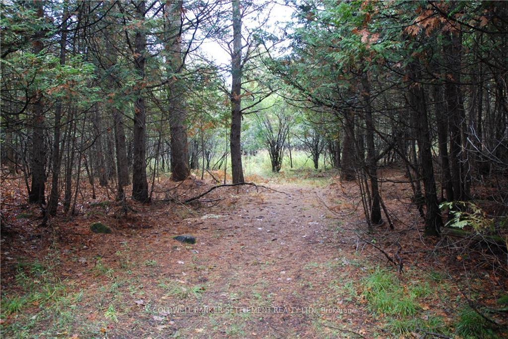 Photo 5 of North Street, Lanark Highlands, Lanark Highlands (Lanark Village) — HOMEH