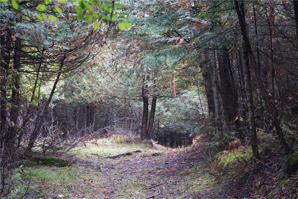 Photo 6 of North Street, Lanark Highlands, Lanark Highlands (Lanark Village) — HOMEH