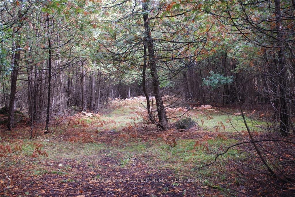 Photo 7 of North Street, Lanark Highlands, Lanark Highlands (Lanark Village) — HOMEH