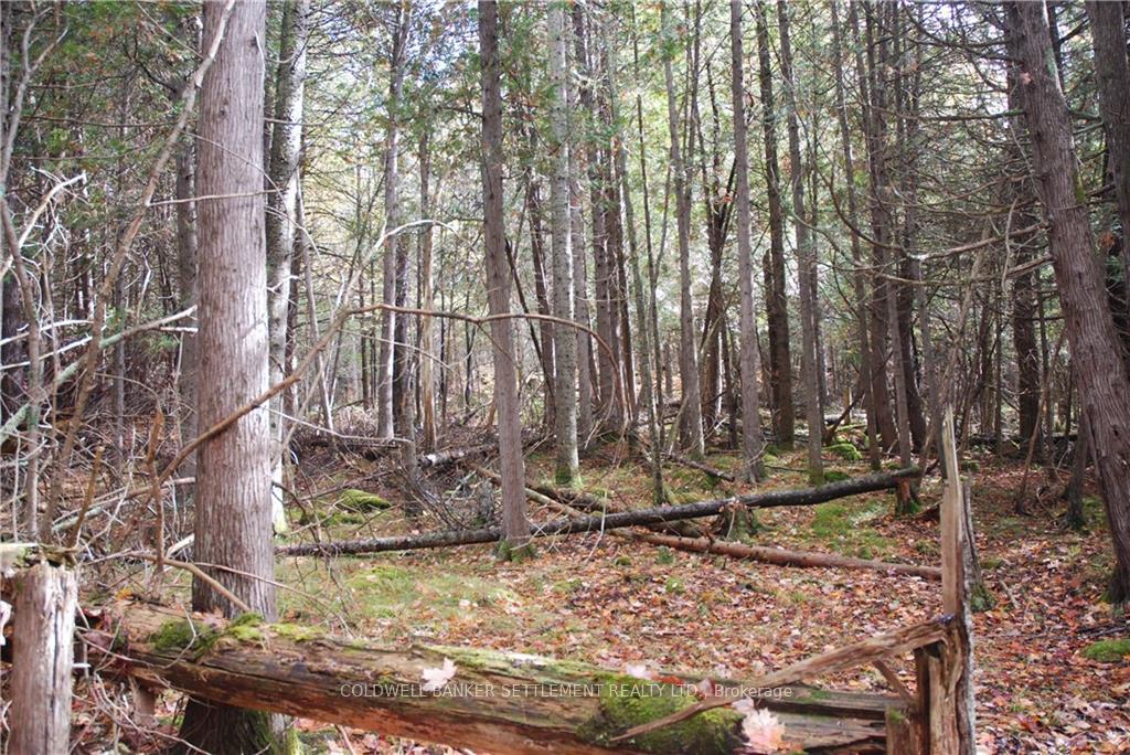Photo 8 of North Street, Lanark Highlands, Lanark Highlands (Lanark Village) — HOMEH