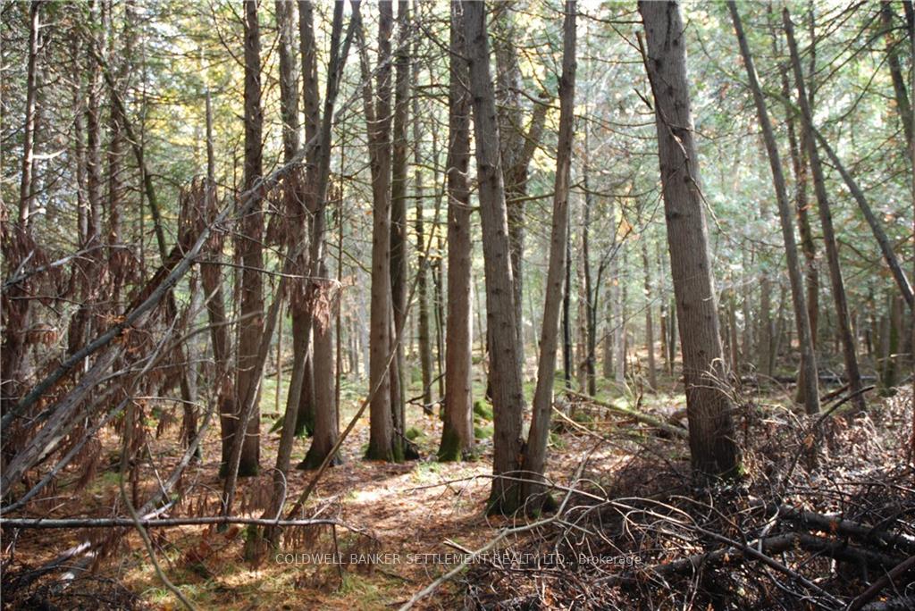 Photo 9 of North Street, Lanark Highlands, Lanark Highlands (Lanark Village) — HOMEH