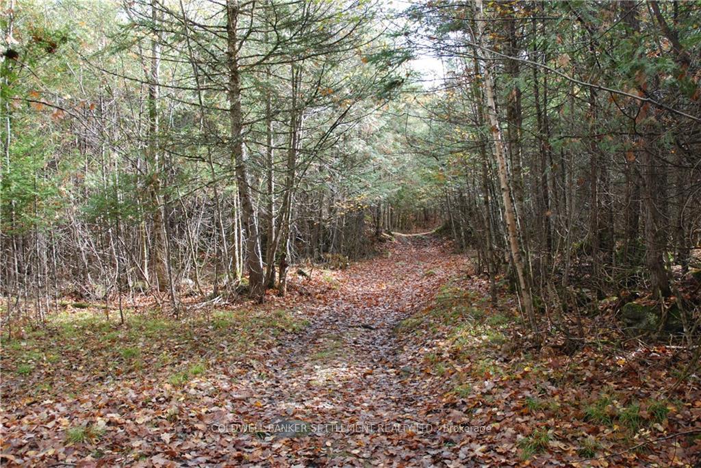 Photo 10 of North Street, Lanark Highlands, Lanark Highlands (Lanark Village) — HOMEH