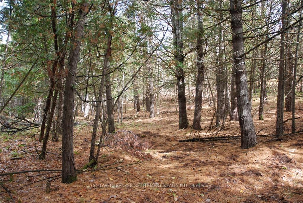 Photo 12 of North Street, Lanark Highlands, Lanark Highlands (Lanark Village) — HOMEH