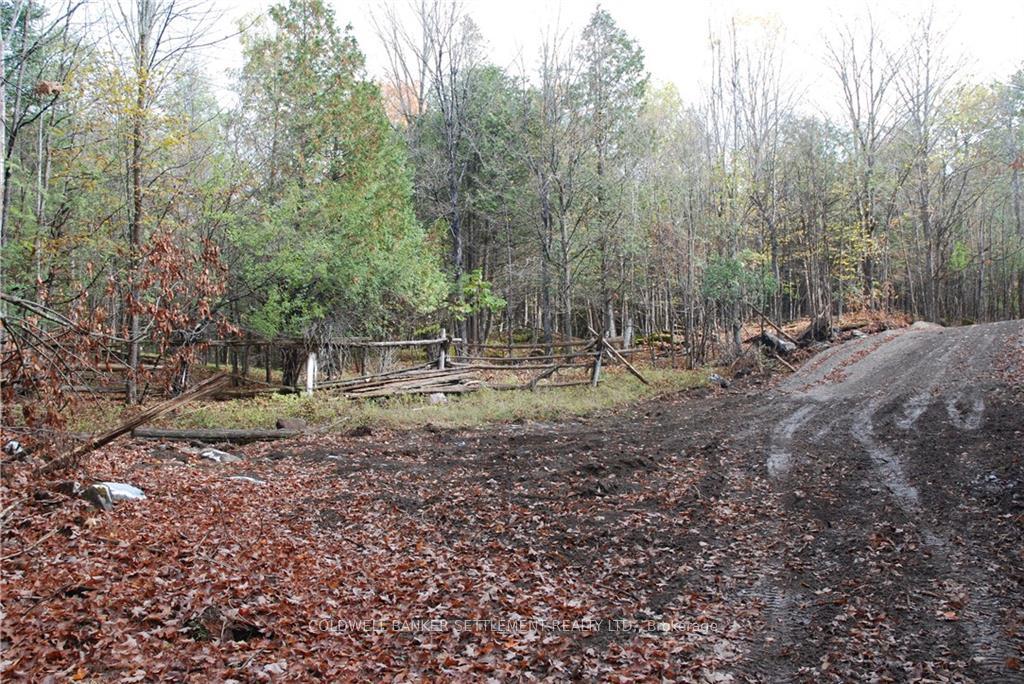 Photo 13 of North Street, Lanark Highlands, Lanark Highlands (Lanark Village) — HOMEH